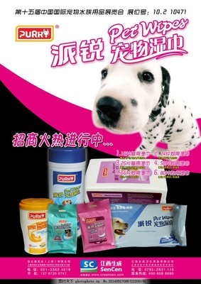 寵物用品海報設(shè)計模板 創(chuàng)意與實用的完美結(jié)合