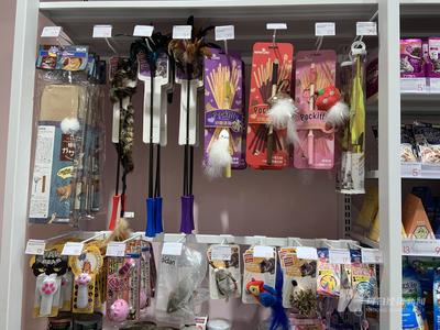 寵物用品公司沖刺A股 貼牌出口占主導，過半狗繩依賴外協生產