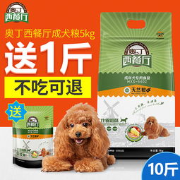 寵物用品電商視覺營銷策略 主圖、直通車圖與鉆展圖的設計與優化