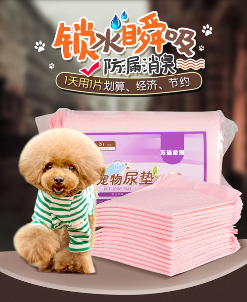 狗狗尿墊選擇指南 從泰迪到全犬種，如何挑選優質寵物隔尿用品