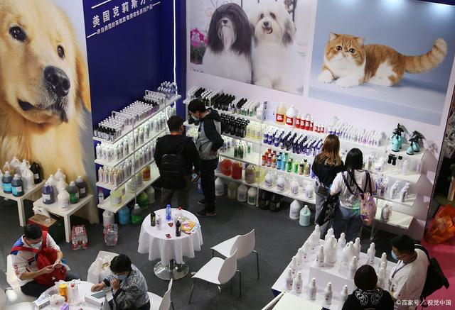 2024中國(寧波)國際寵物用品博覽會 聚焦人寵和諧，引領行業新風尚