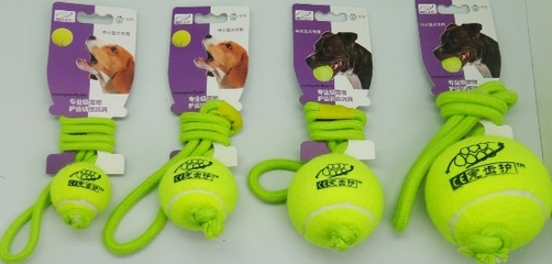 寵物玩具新風尚 源自德國的戲寵Pawsfly，如何重新定義互動樂趣